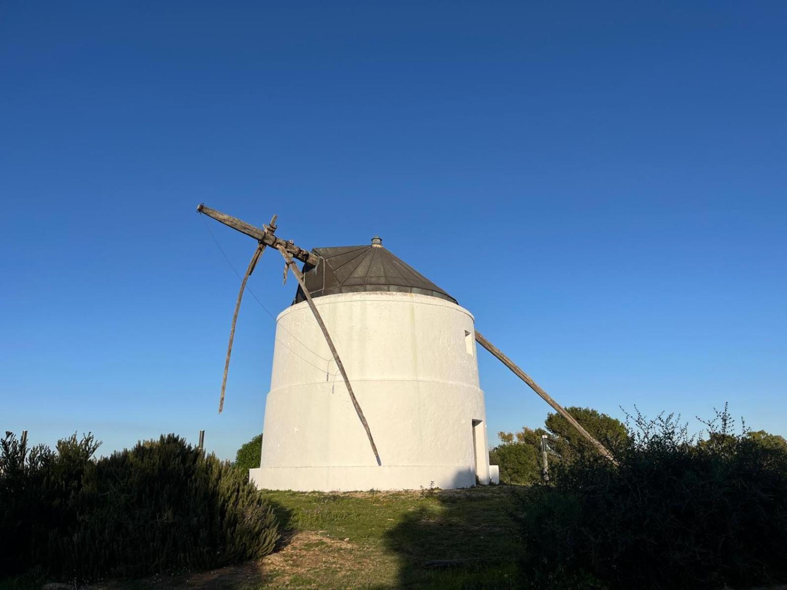 Casa Carmen - Centrico Apartamento Con Terraza Privada Vejer de la Frontera Exteriör bild